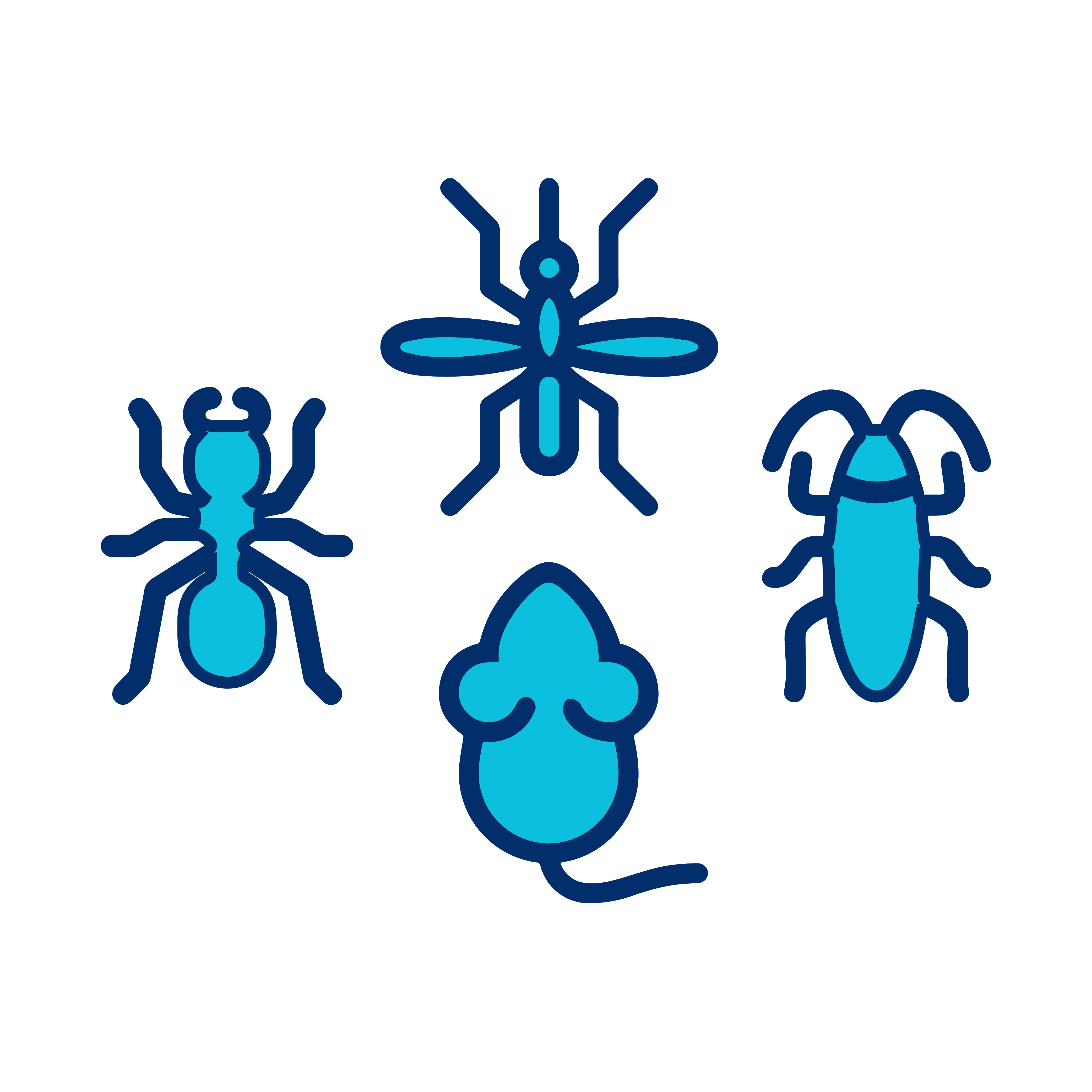 Pest Control